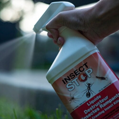 Insect Stop – Destructeur d’insectes Rampants - Aerokure