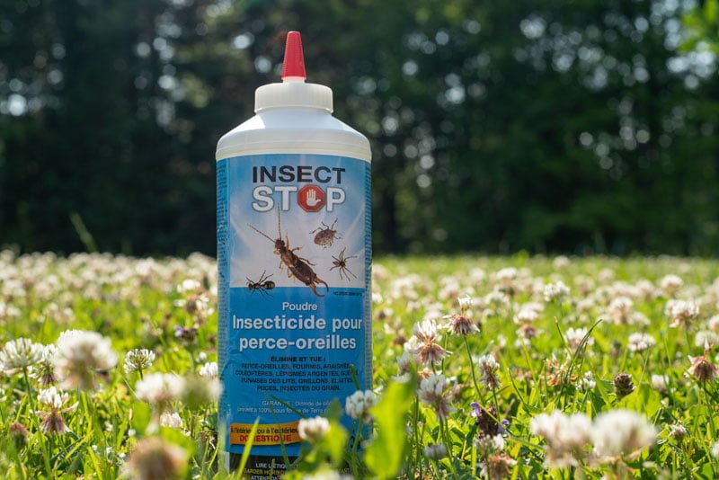 Insecticide Insect Stop contre les Perce-Oreilles – Intérieur et Extérieur  200g - Aerokure