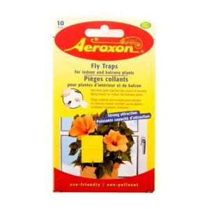 Fly Traps for Indoor and Balcony Plants